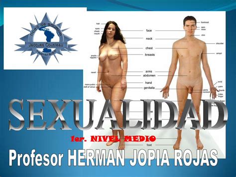 PDF 1er NIVEL MEDIO S18168e107b37bb6d Jimcontent CUERPO DEL