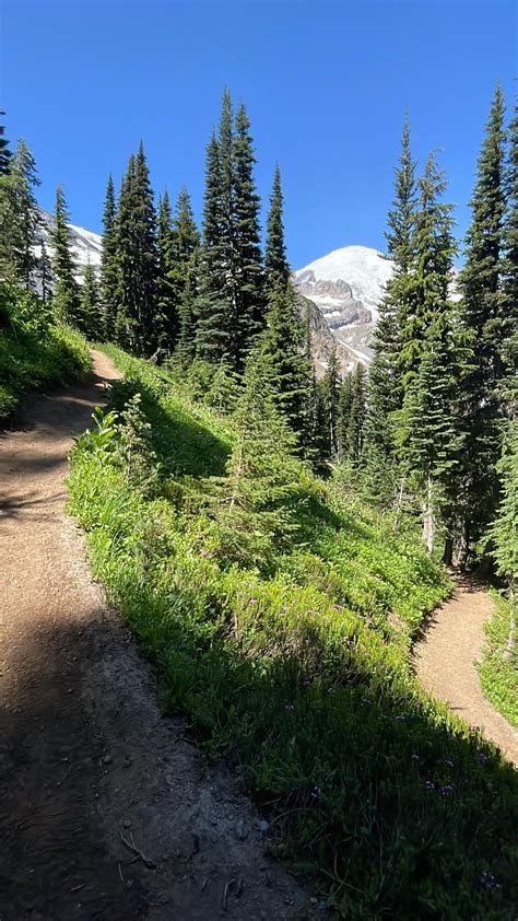 Saddleback Mountain, Oregon : r/hiking