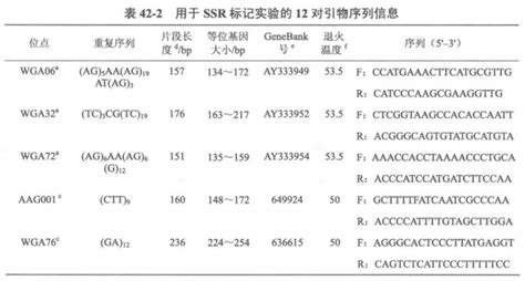 植物分子标记及应用 简单序列重复标记 丁香实验