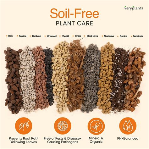 Mollys Succulent Mix Premium Gritty Soilless Potting Mix For