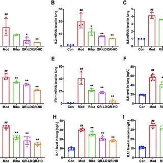 QR Reduced The Production Of Pro Inflammatory Cytokines In Lung Tissues