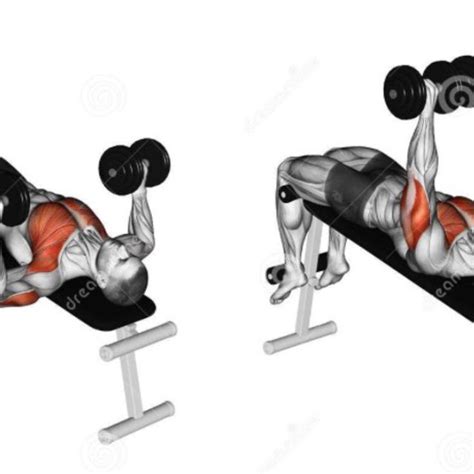 Concept 40 of Decline Barbell Bench Press Muscles Worked | chiriru-cheryl