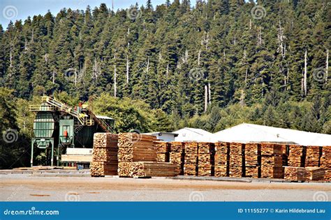 lumber mill  stacked boards royalty  stock photography