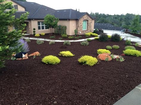 Awesome Drought Tolerant Landscape Design — Randolph Indoor And Outdoor Design