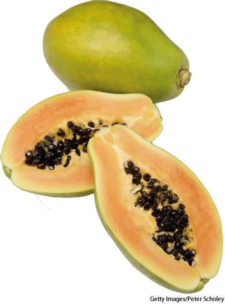 American Heritage Dictionary Entry Papaya