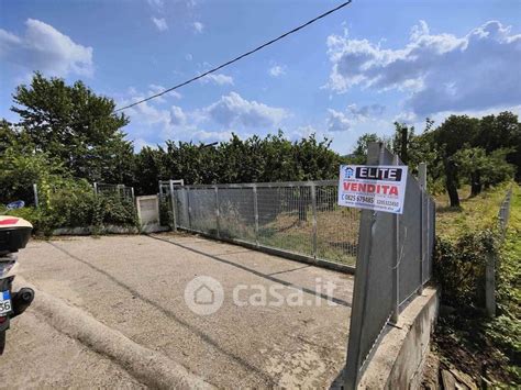 Terreni In Vendita A Santo Stefano Del Sole Casa It