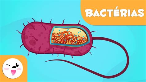 Entendendo o que são bactérias de forma simples para crianças