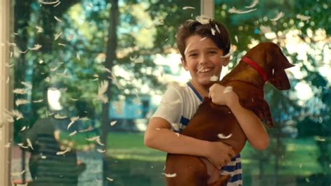 Trailer Do Filme Wiener Dog Wiener Dog Trailer Original Adorocinema