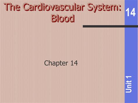 PPT The Cardiovascular System Blood PowerPoint Presentation Free