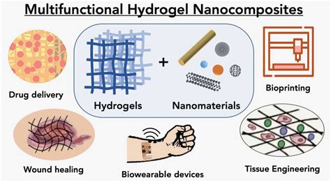 Polymers Free Full Text Multifunctional Hydrogel Nanocomposites For