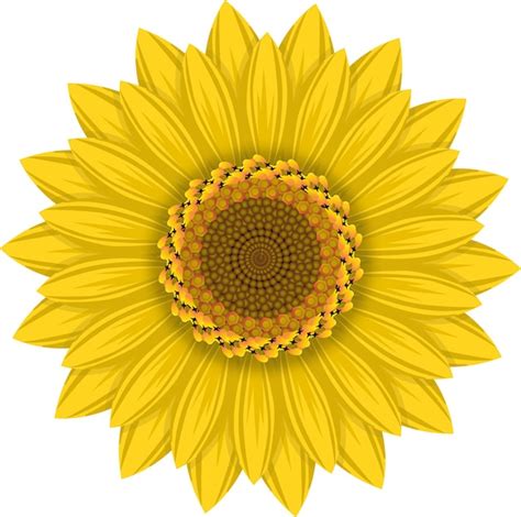 Ilustraci N Plana De Girasol Vector Premium