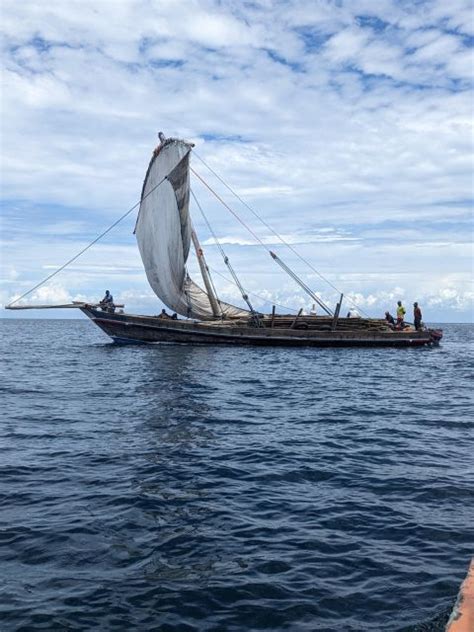 Prison Island And Nakupenda Sandbank With Shomi Getyourguide