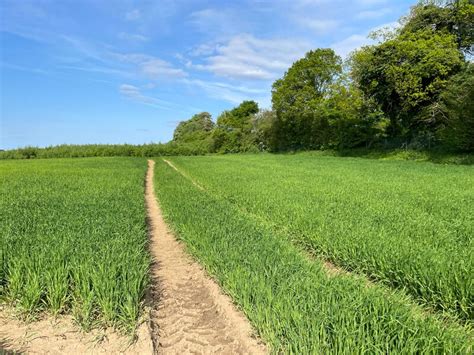 Tracks In St John S Field 41 Acres Mr Ignavy Geograph Britain