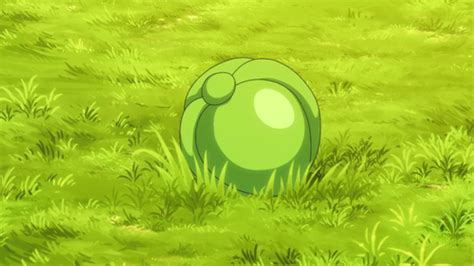 Lum Berry Bulbapedia The Community Driven Pokémon Encyclopedia