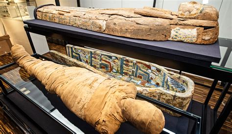 Egyptian Mummies Facts: Secrets of Eternal Life