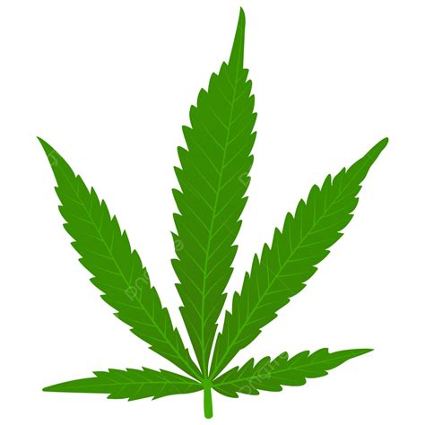 Cannabis Png Transparent Image Download Size 1191x1234px 59 Off