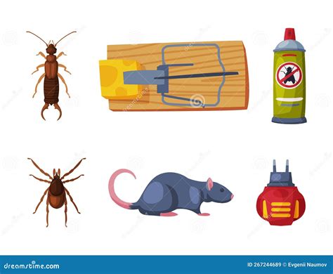 Pest Control And Insect Extermination Service With Chemical Bottle