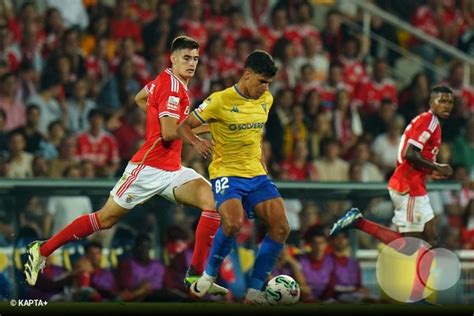 Liga Portugal Betclic Gd Estoril Praia X Sl Benfica Fotos