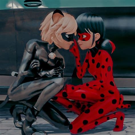 Icon Ladynoir Fotos De Cat Noir Personajes Ladybug Fondos De Ladybug