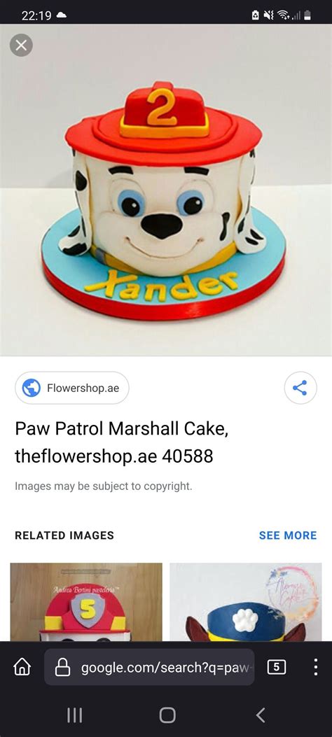 5th Birthday Birthday Cake Paw Patrol Cake Ideas Breakfast Quick