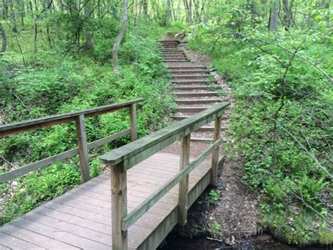 Family Hiking Fun - Ellanor C Lawrence Park in Chantilly VA