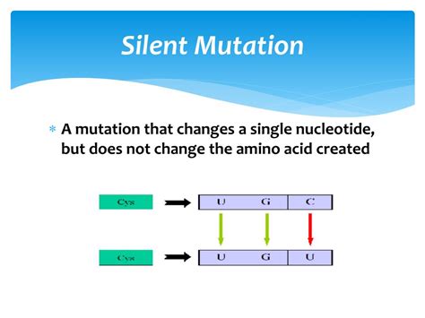 Ppt Mutations Powerpoint Presentation Free Download Id5319970