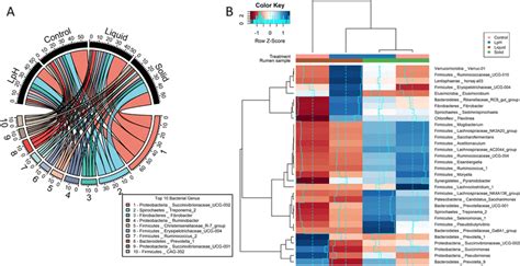 Taxonomic Composition Of The Ruminal Microbiome In The Liquid And Solid