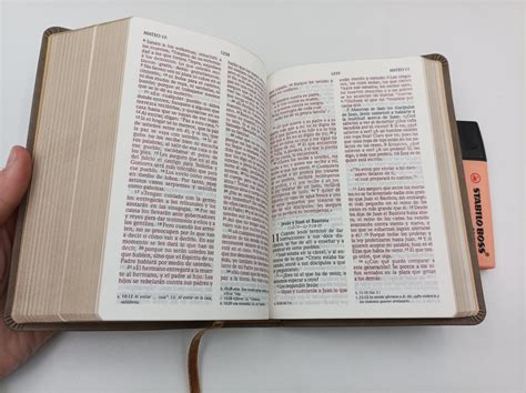 SANTA BIBLIA NVI LETRA GRANDE COMPACTA MARRON NVI 9781949238808