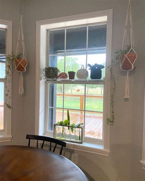 Practical Indoor Window Shelf Ideas For Plants