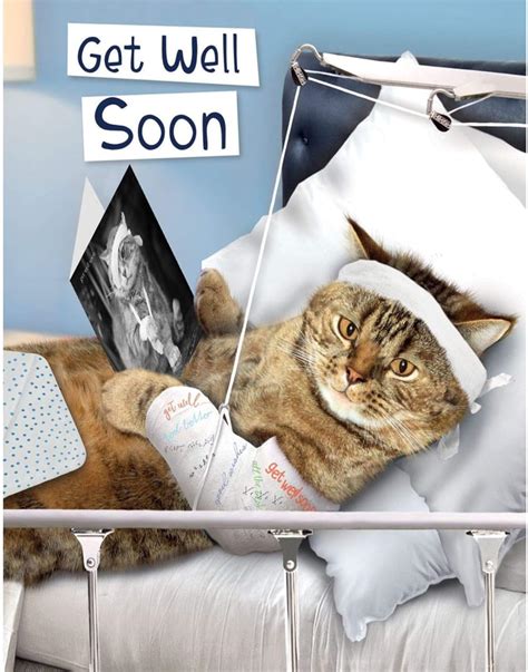 Get Well Soon Card Bandaged Cat In Hospital Bed Uk