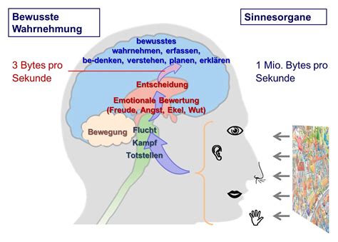 Neuroideenmanagement 3 Das Gehirn Als Lustsucher