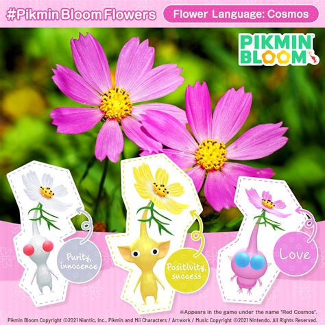 Pikmin Bloom On Twitter Pikminbloomflowers Cosmos In The Language