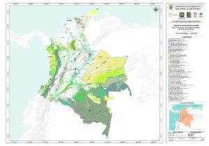 Colombia Ya Cuenta Con Su Primer Mapa De Vegetaci N Natural