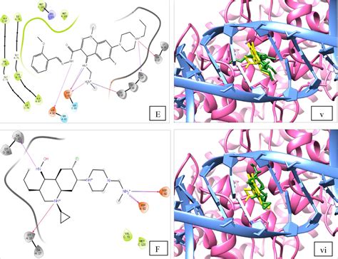 Discovery Of Novel Inhibitors Of Bacterial DNA Gyrase Using A QSAR