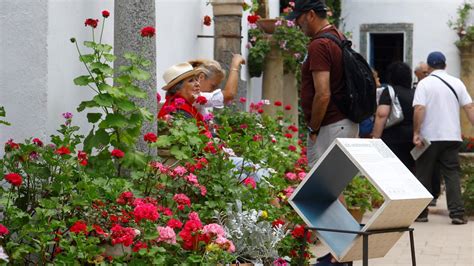 As Lucen Los Patios Del Palacio De Viana De C Rdoba En Su Jornada De