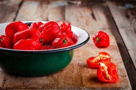 Fresh Red Hot Habanero Chili Peppers Stock Image Image Of Nature