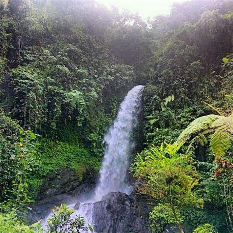 Salah Satu Air Terjun Yg Ada Di Pinggir Sungai Telaga Waja Bali