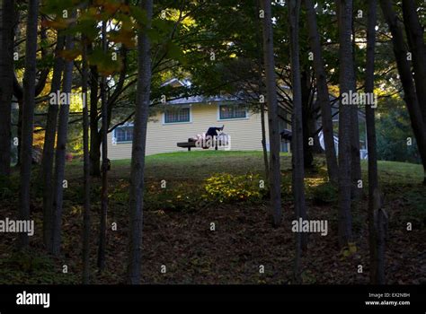 Mackenzie King House Gatineau Park Hi Res Stock Photography And Images