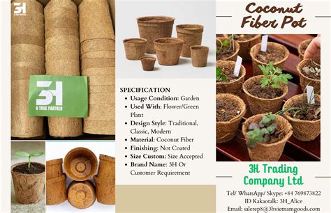 Transform Your Garden With Premium Coconut Fiber Pots Sustainable