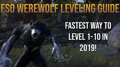 Eso Werewolf Leveling Guide Level In Less Than Minutes Youtube