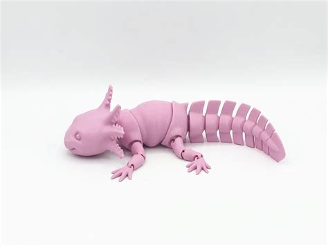 Flexi Axolotl 3D Printed Articulated Fidget Toy Various Etsy