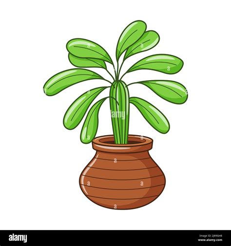 Vector Cartoon House Plant In Pot Indoor Home Plant With Leaves Cacti