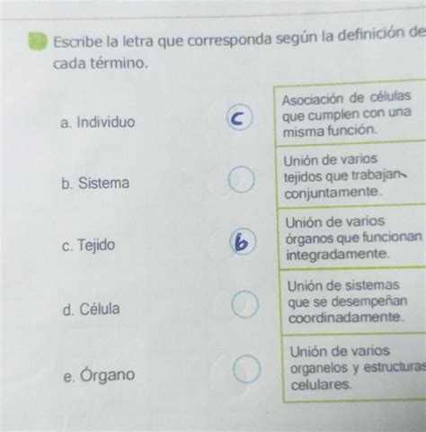 escribe la letra que corresponda según la definición de cada terminó