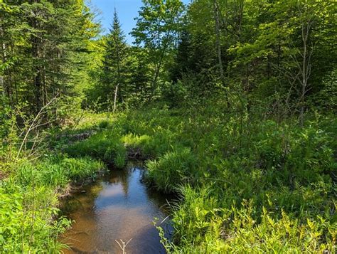 Parcours Louis Joseph Papineau Quebec Stephen Downes Flickr