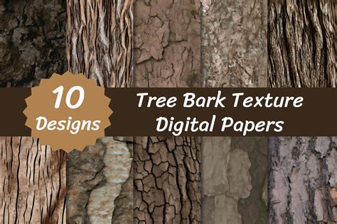 Tree Bark Textures Graphic By Vycstore · Creative Fabrica