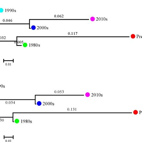 Neighbor Joining Clustering Tree Phylogenetic Based On Neis 1972