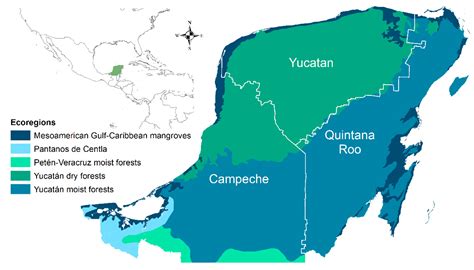 Diversity Free Full Text Amphibian Diversity Of The Yucatan