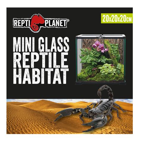 REPTI PLANET GLASS TERRARIUM 20x20x20cm Repti Planet