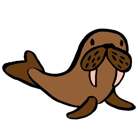 Walrus Illustration In Png Svg