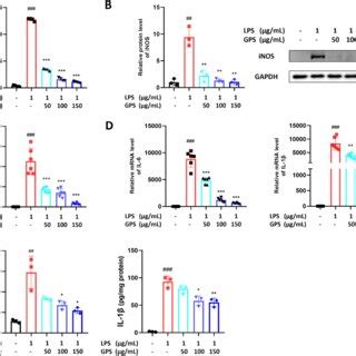 Anti Inflammatory Effects Of Main Bioactive Components Of GPS On